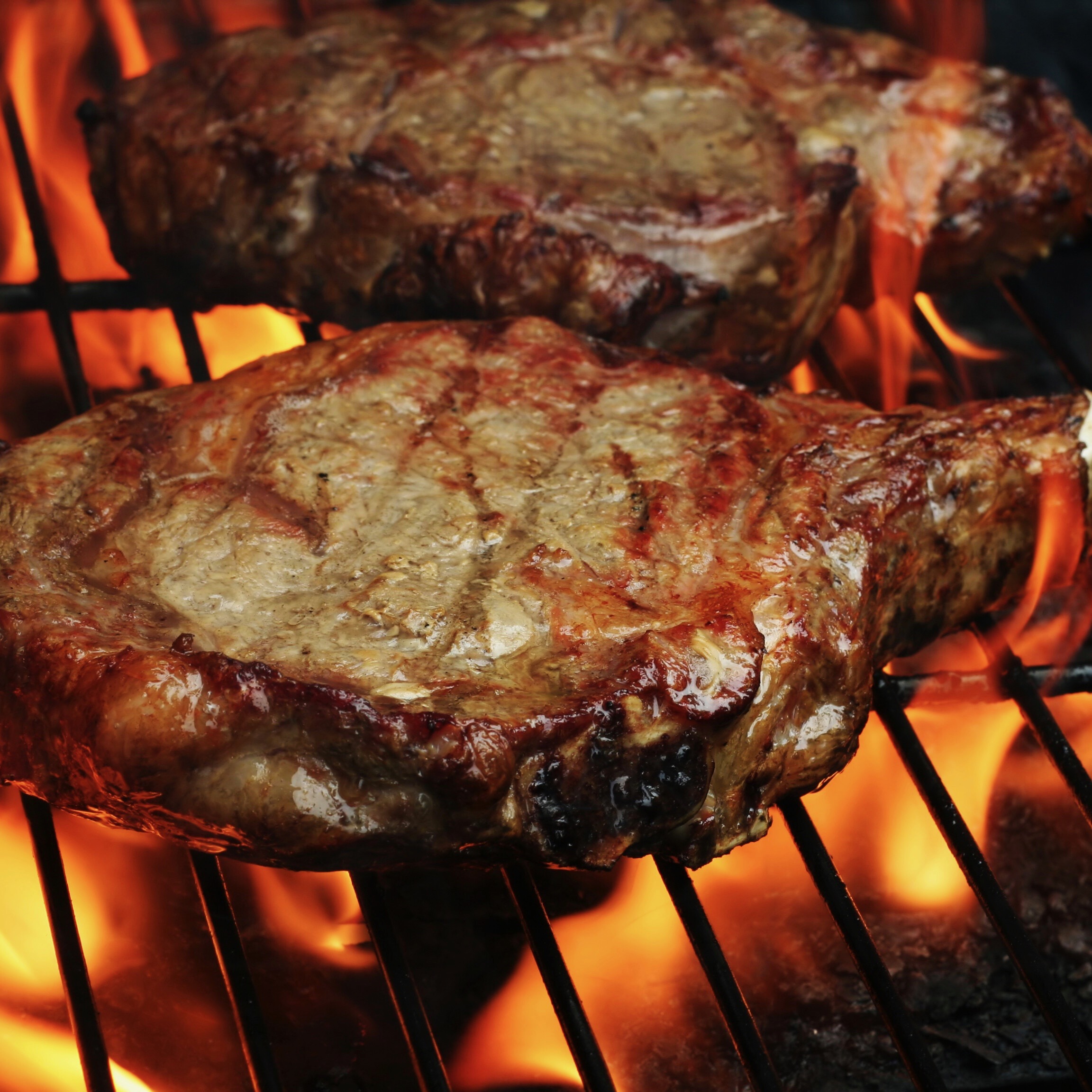 Photo of two grilled ribeye steaks